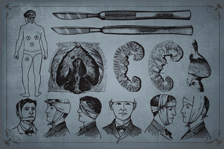 旧时代解剖医学插图素材 Medical Art | 110 EPS, PNG and JPG’s插图9