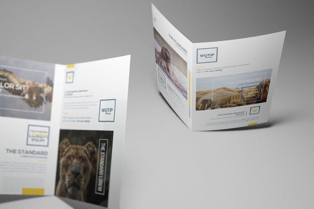 双折页A4规格企业品牌宣传册样机 Bi-Fold A4 Brochure Mockups插图(12)