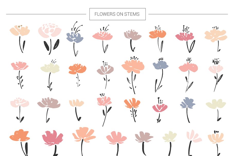 超级手绘花卉&叶子元素大礼包 Floral mega-bundle: 1267 elements插图6