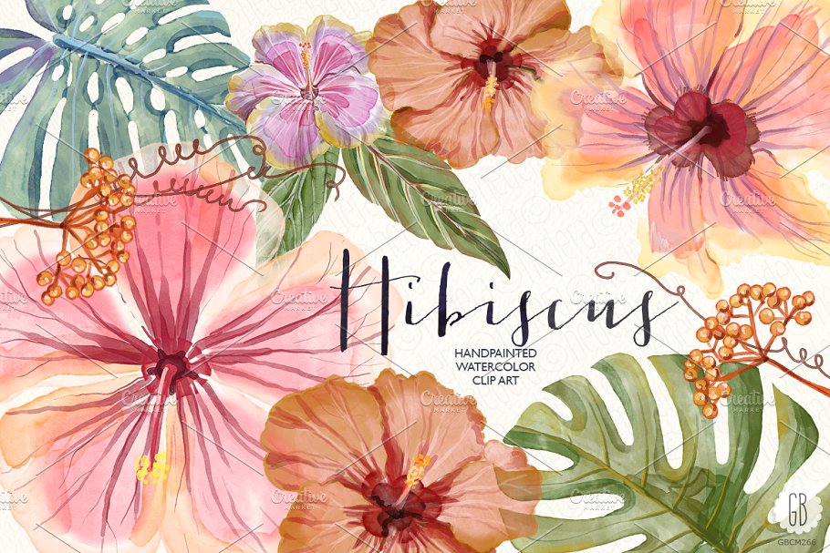 水彩芙蓉花花卉元素 Watercolor hibiscus flower monstera插图