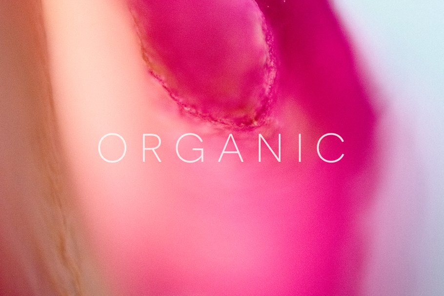20张高清分辨率花卉植物特写镜头照片 Organic插图3