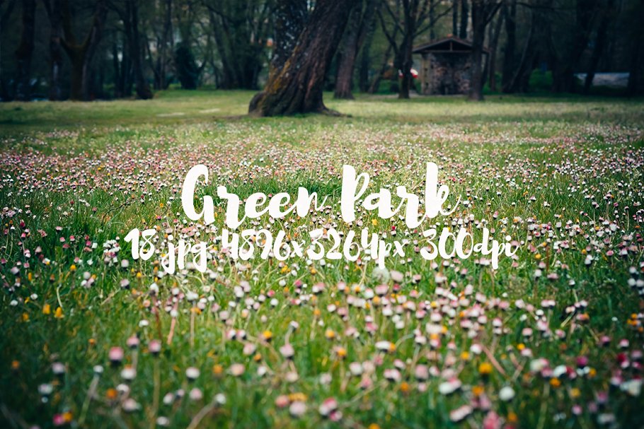 生机勃勃的公园景象高清照片素材 Green Park bundle插图