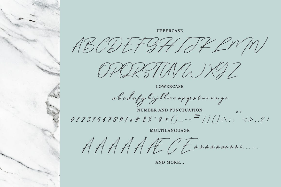 钢笔手写英文书法字体 Winterfellia – Handwritten Font插图(4)