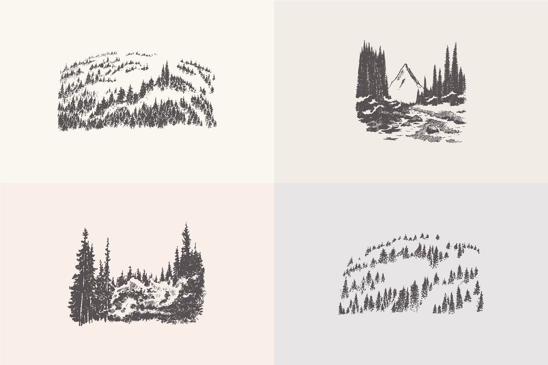素描森林景观作品插画合集 Collection of forest landscapes插图