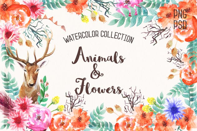 动物&花卉水彩元素插画套装 Watercolor Animals & Flowers插图(1)