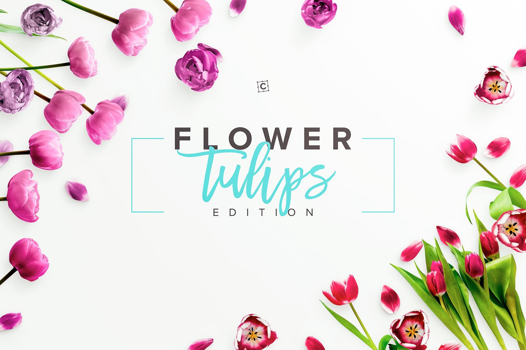 郁金香花卉场景样机 Flower Tulips Edition – Custom Scene[1.18GB]插图(6)