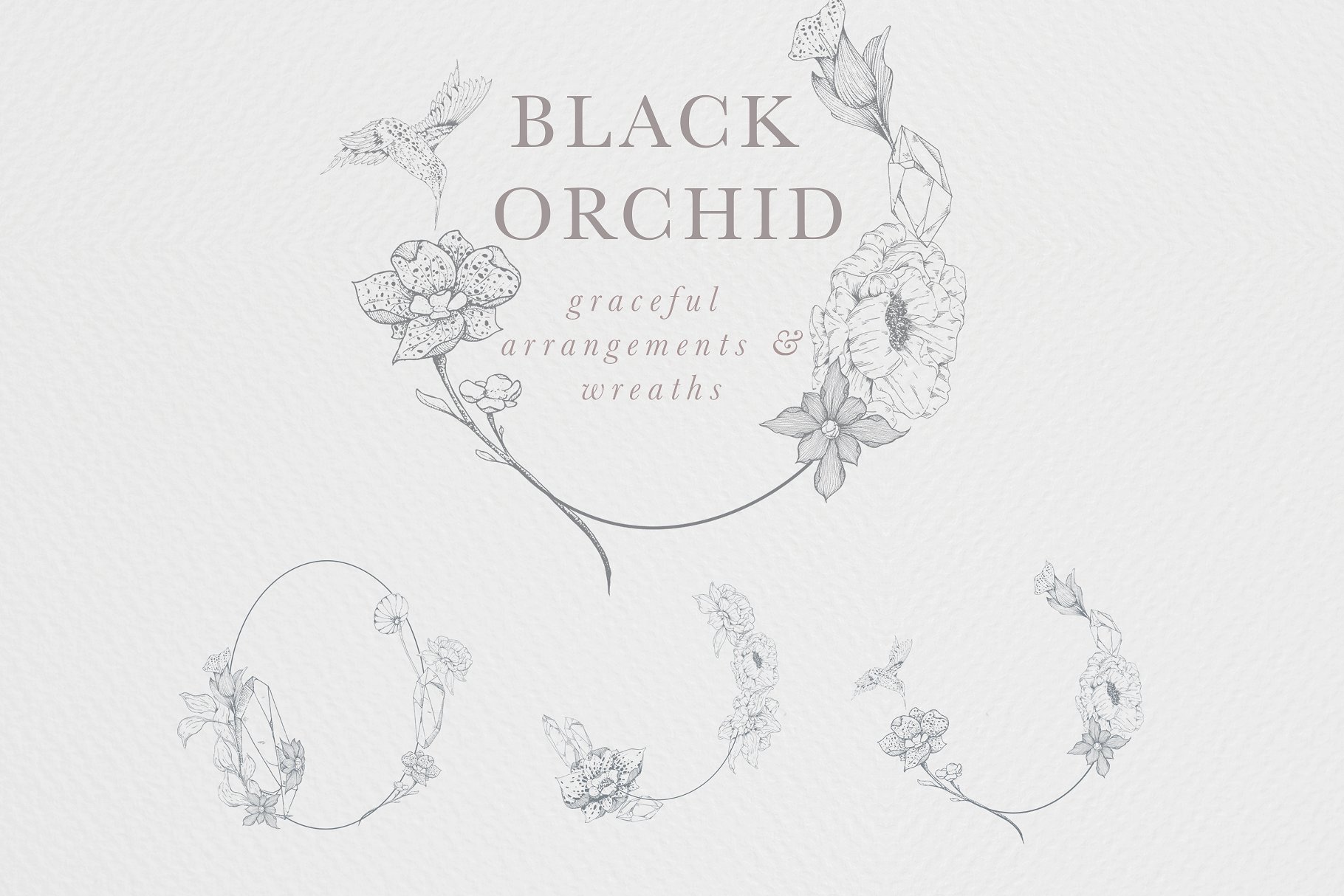 虚实结合黑色背景手绘矢量花卉图形素材 Black Orchid Illustration Set插图5