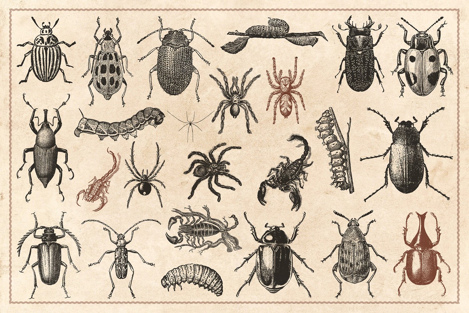 176个复古野生动物手绘（矢量）插图(8)