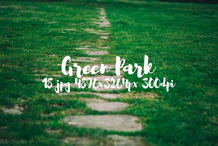 生机勃勃的公园景象高清照片素材 Green Park bundle插图(14)