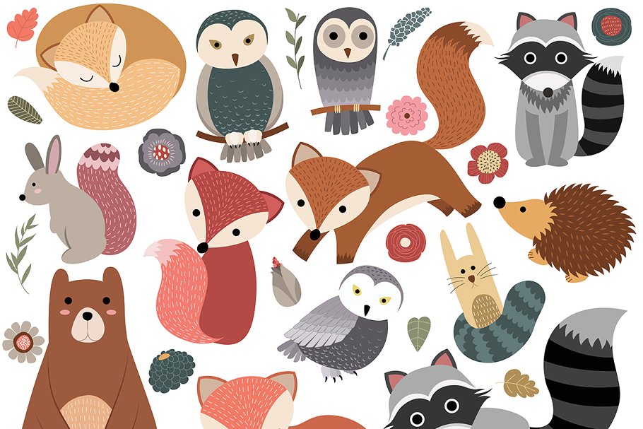 110个林地动物手绘动物插画剪贴画 110 pc Huge Woodland Clipart Set插图4