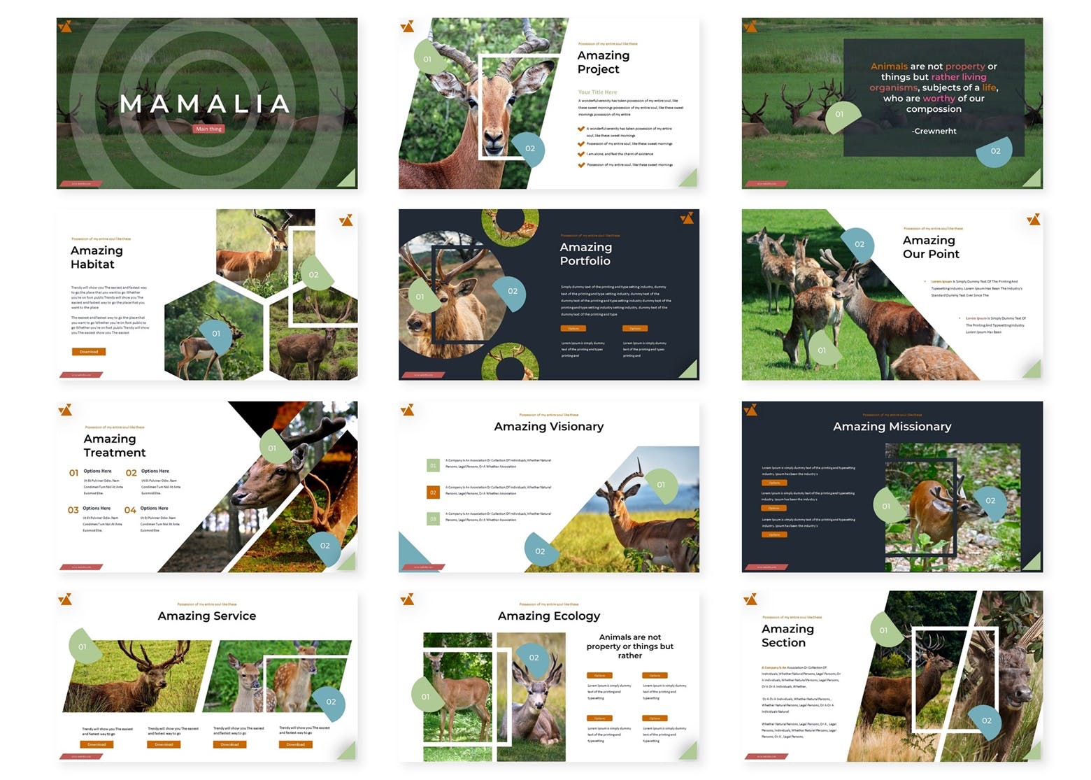 野生动物主题PPT幻灯片设计模板 Mamalia – Powerpoint Template插图1