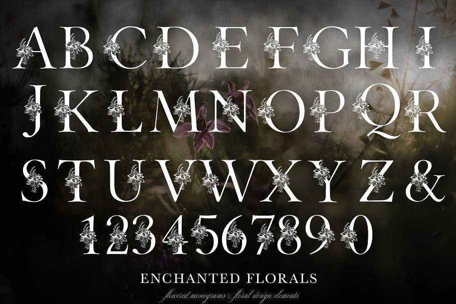 魔法花卉装饰字母创意字母集 Enchanted Florals Monogram Set插图4