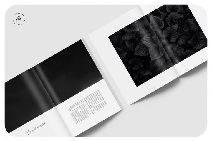40页干净、美观、极简的摄影杂志模板下载[indd]插图(6)
