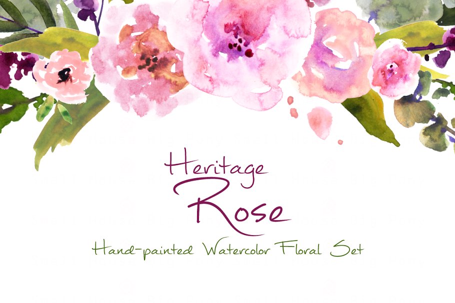 传统复古水彩玫瑰剪贴画合集 Heritage Rose- Watercolor Clip Art插图