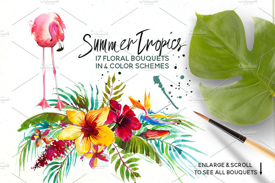 热带水彩花卉超级素材包[1.92GB] Tropic Watercolor Flowers & Animals插图(1)