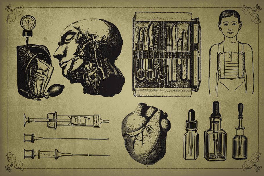 旧时代解剖医学插图素材 Medical Art | 110 EPS, PNG and JPG’s插图6