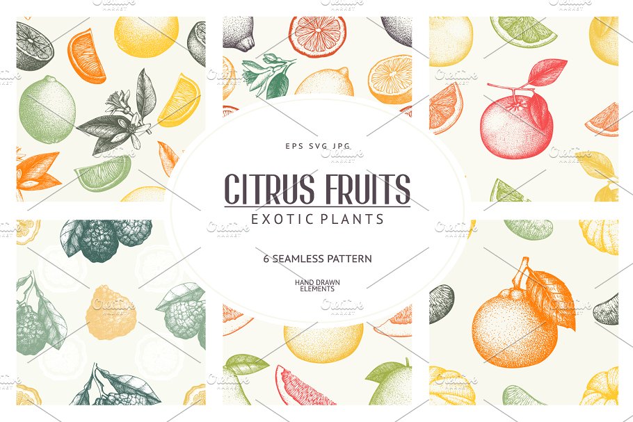 手绘素描柑橘类水果矢量无缝纹理 Vector Citrus Fruits Patterns Set插图
