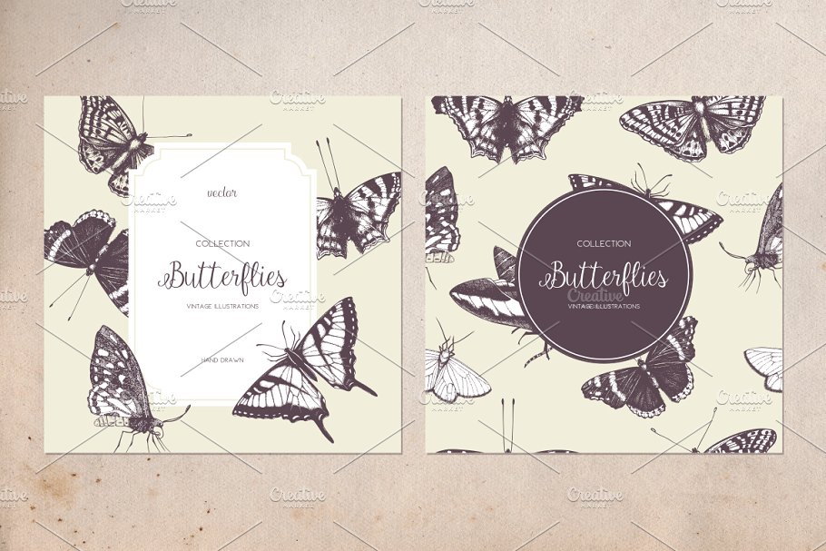 复古风格蝴蝶手绘插画 Vector Butterfly & Flowers Set插图(3)