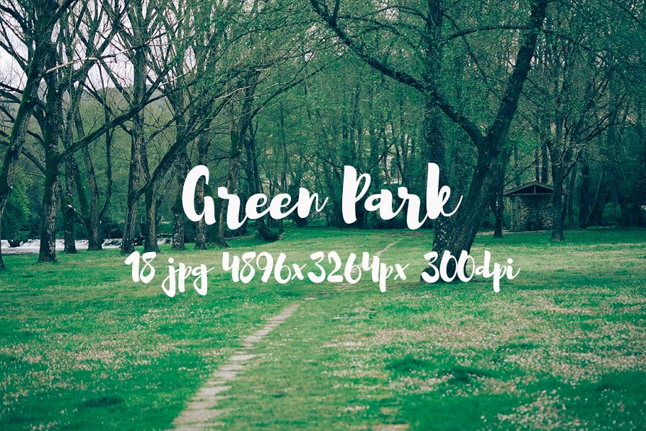 生机勃勃的公园景象高清照片素材 Green Park bundle插图12