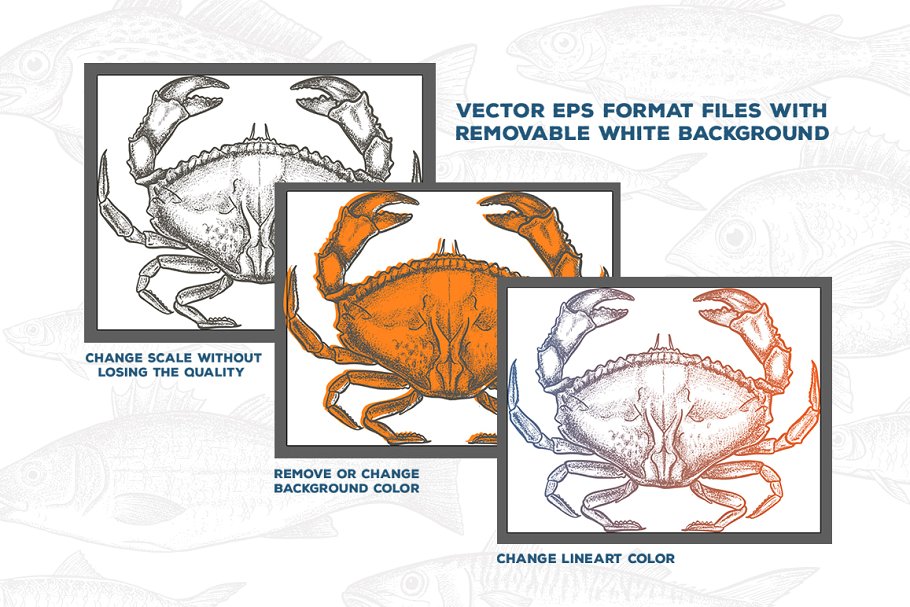 复古粗略风格的手绘海鲜插图合集 Seafood Illustrations插图3