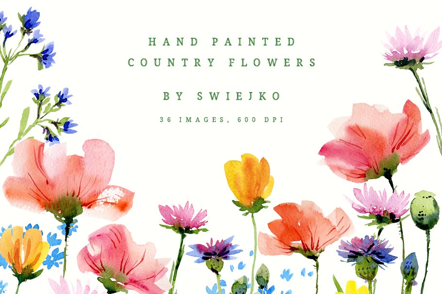 手绘城市花卉图形 Hand painted country flowers插图