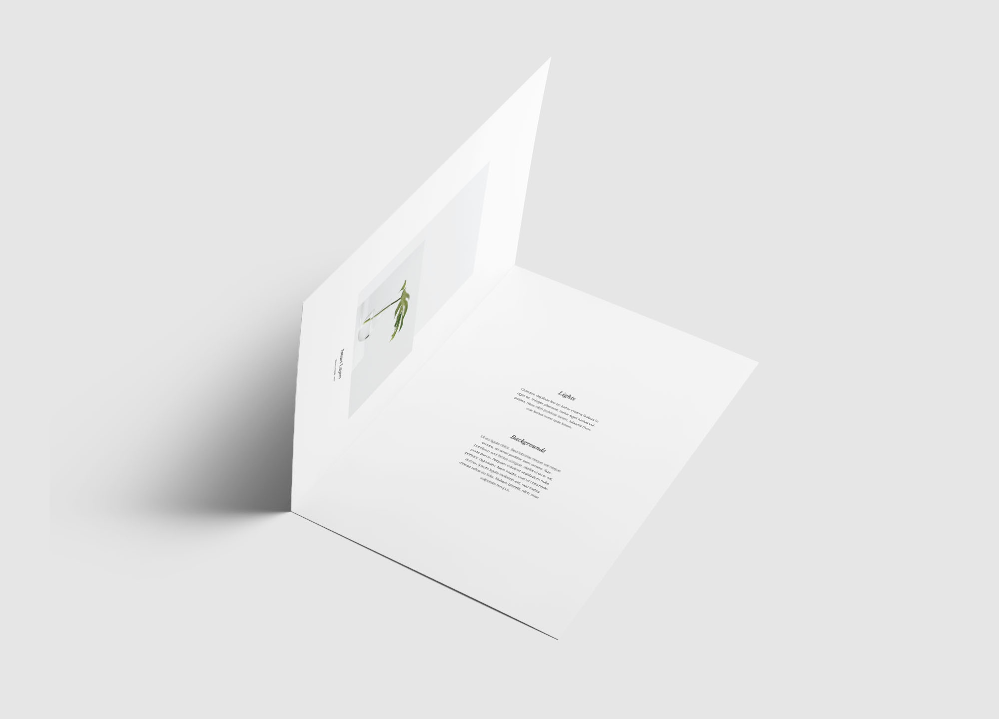 A4尺寸大小双折传单设计内页版式效果图样机模板 A4 Bifold Brochure Mockup插图3