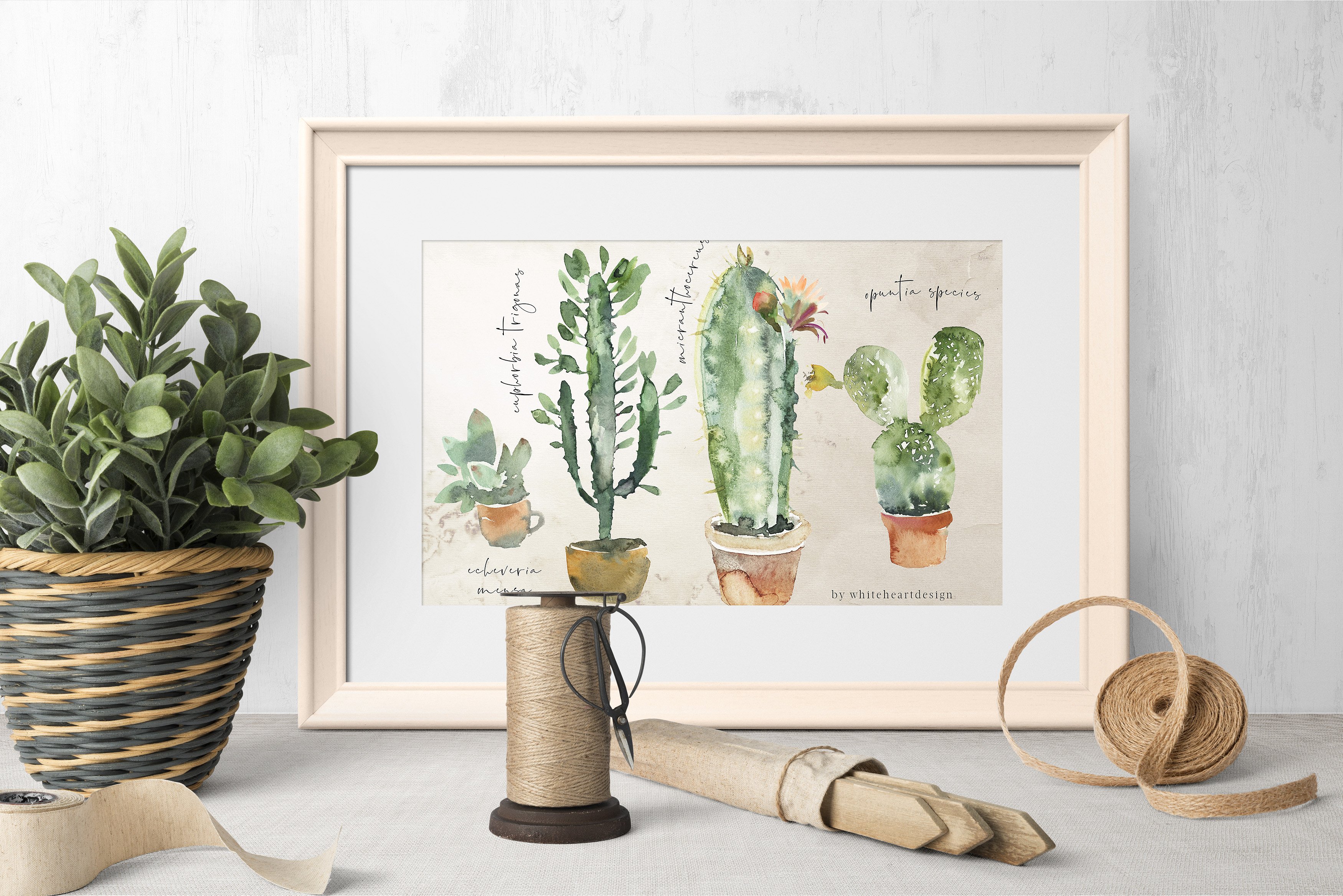 仙人掌水彩剪贴画 Cacti Watercolor Cactuses Clipart插图(10)