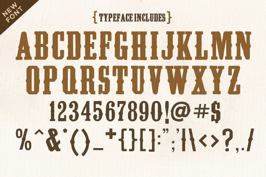 复古的西式风格英文字体  Thistle Creek Font插图(3)