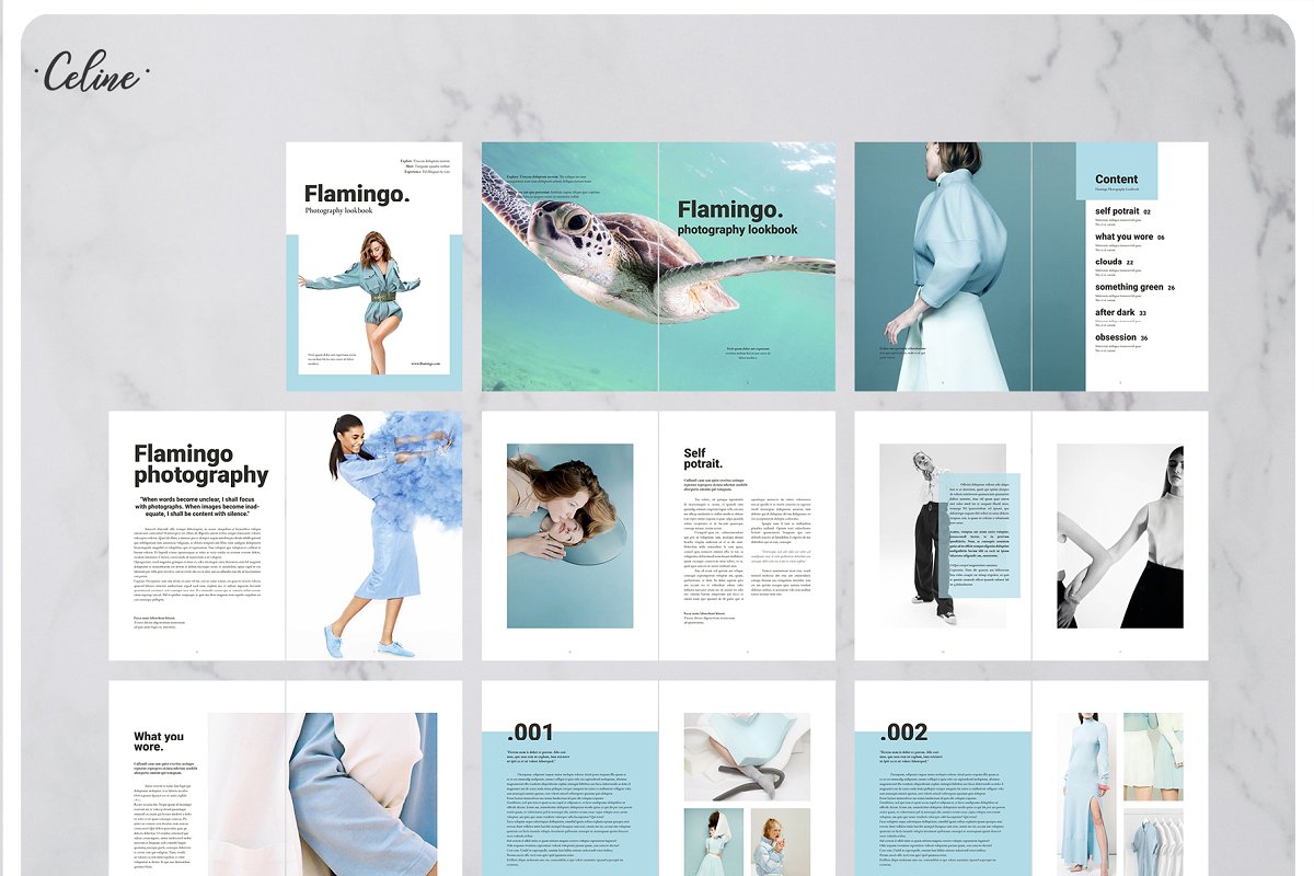Flamingo时尚摄影杂志画册设计模板插图(8)