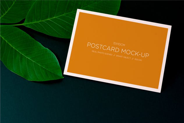 明信片/照片简约样机模板 Post Card Mock-up / Real Photo Scene插图1