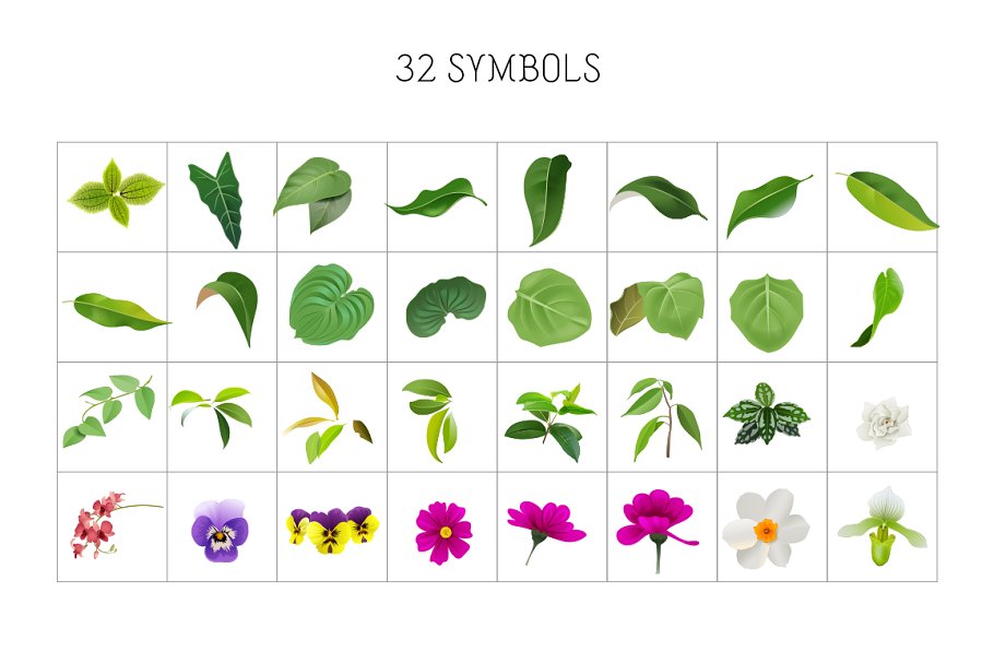植物图案AI笔刷与符号 Botanical Brushes & Symbols插图1