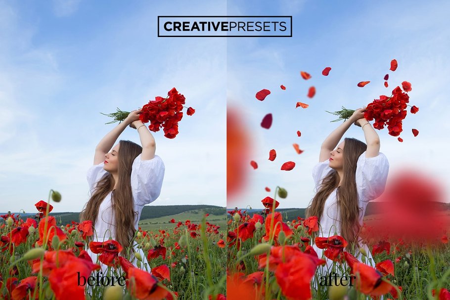 浪漫野生罂粟叶照片处理叠层 Wild Poppies Photo Overlays插图3