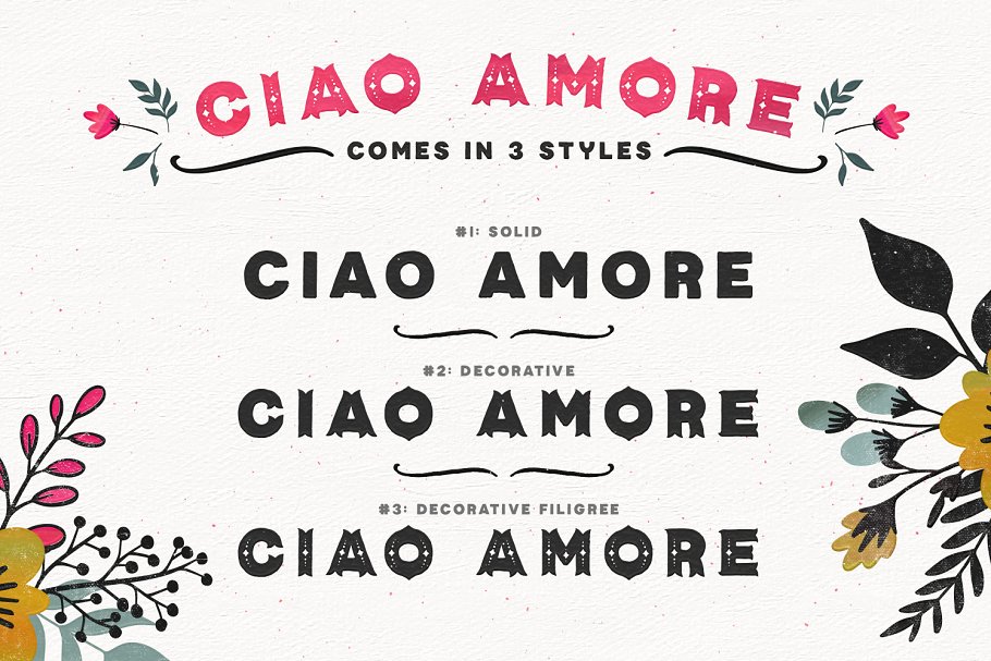 装饰英文字体+超过200手绘花卉装饰图形元素 Ciao Amore Decorative Font Kit插图(1)
