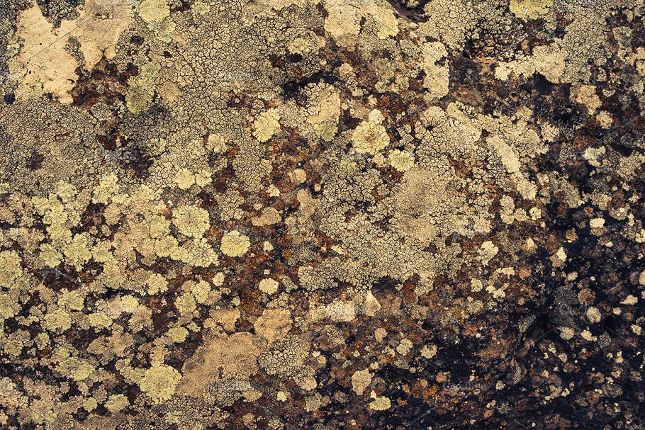 高清自然真实岩石石头照片素材 Rock Solid – Rock & Stone Collection插图(20)