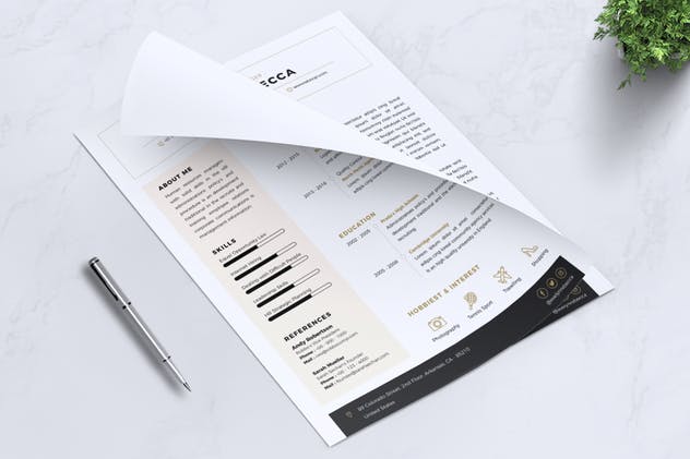 极简主义个人应聘简历设计模板v2 Minimalist CV Resume Vol. 02插图(3)