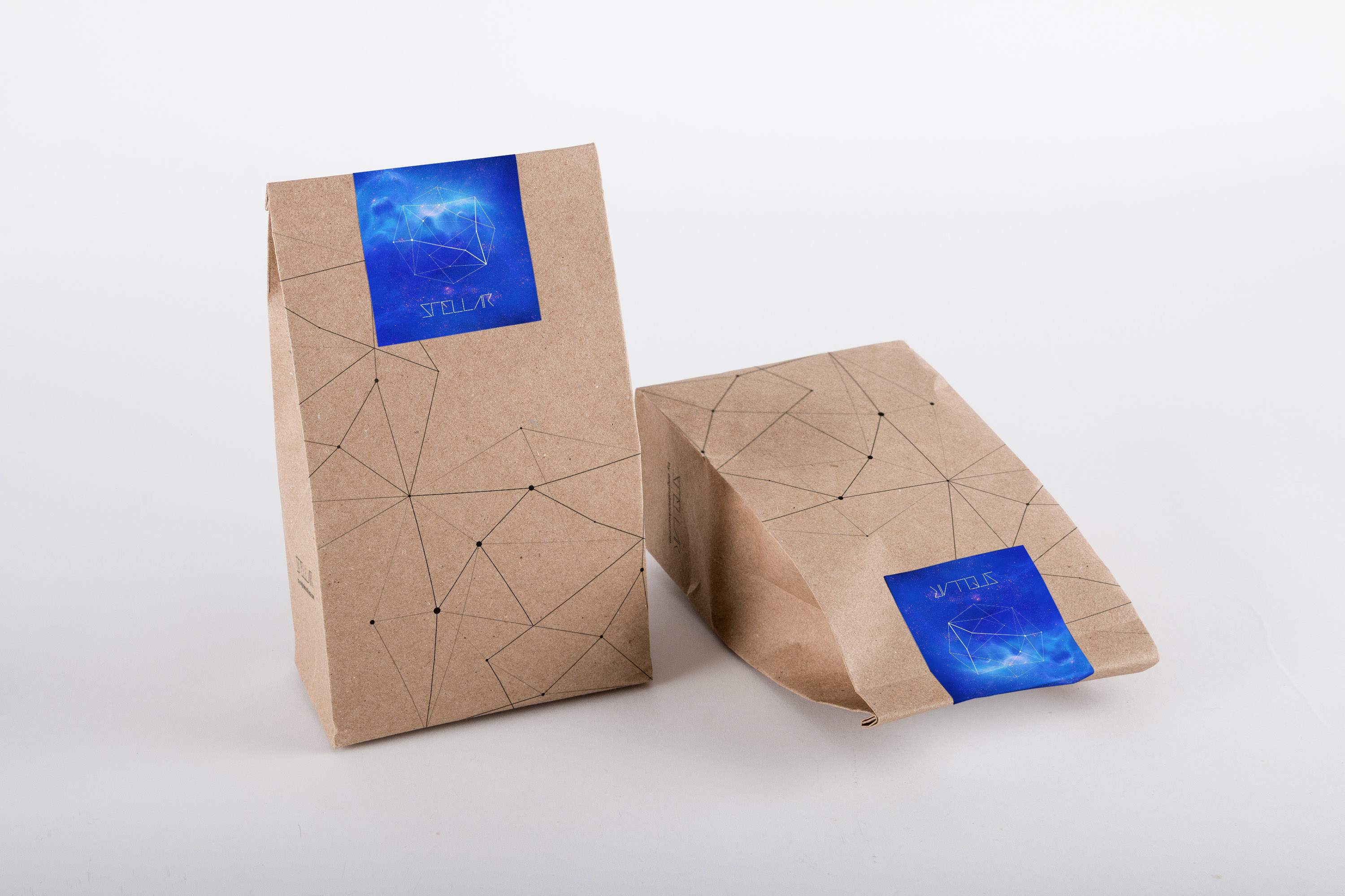 品牌咖啡豆纸袋包装设计效果图样机04 Coffee Bag Mockup 04插图