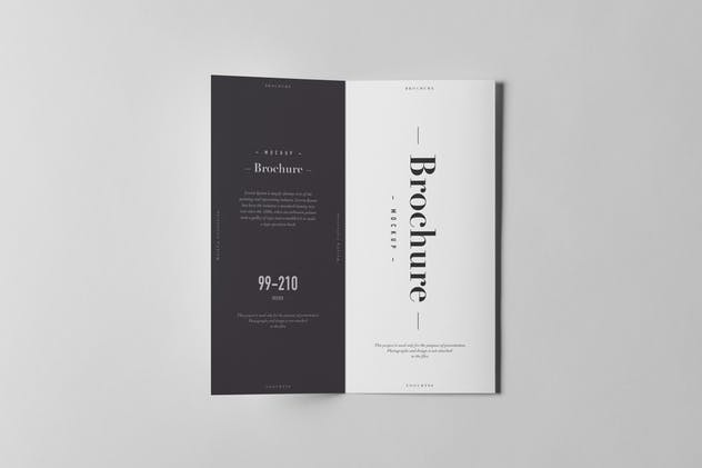 三折传单小册子样机模板 Tri-Fold DL Brochure Mock-up 3插图(7)