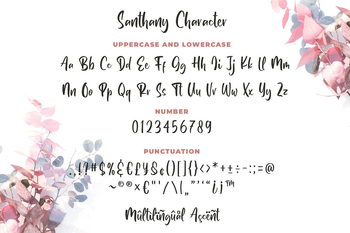签名/品牌设计适用的英文书法字体 Santhany – Handwritten Typeface插图(3)