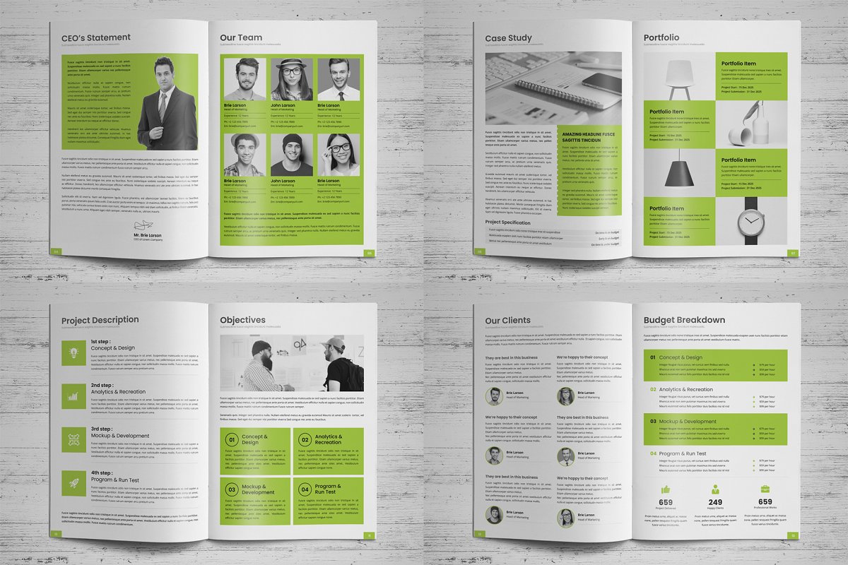 商业项目业务提案手册设计模板插图(2)