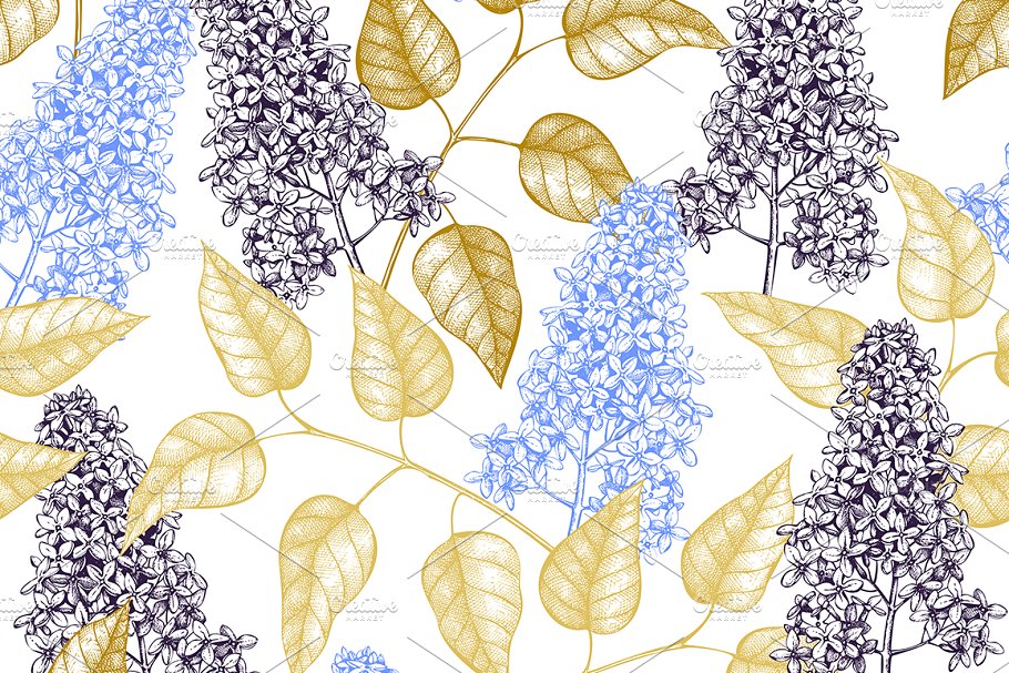 矢量淡紫色植物花卉插图集 Vector Lilac Illustrations Set插图4