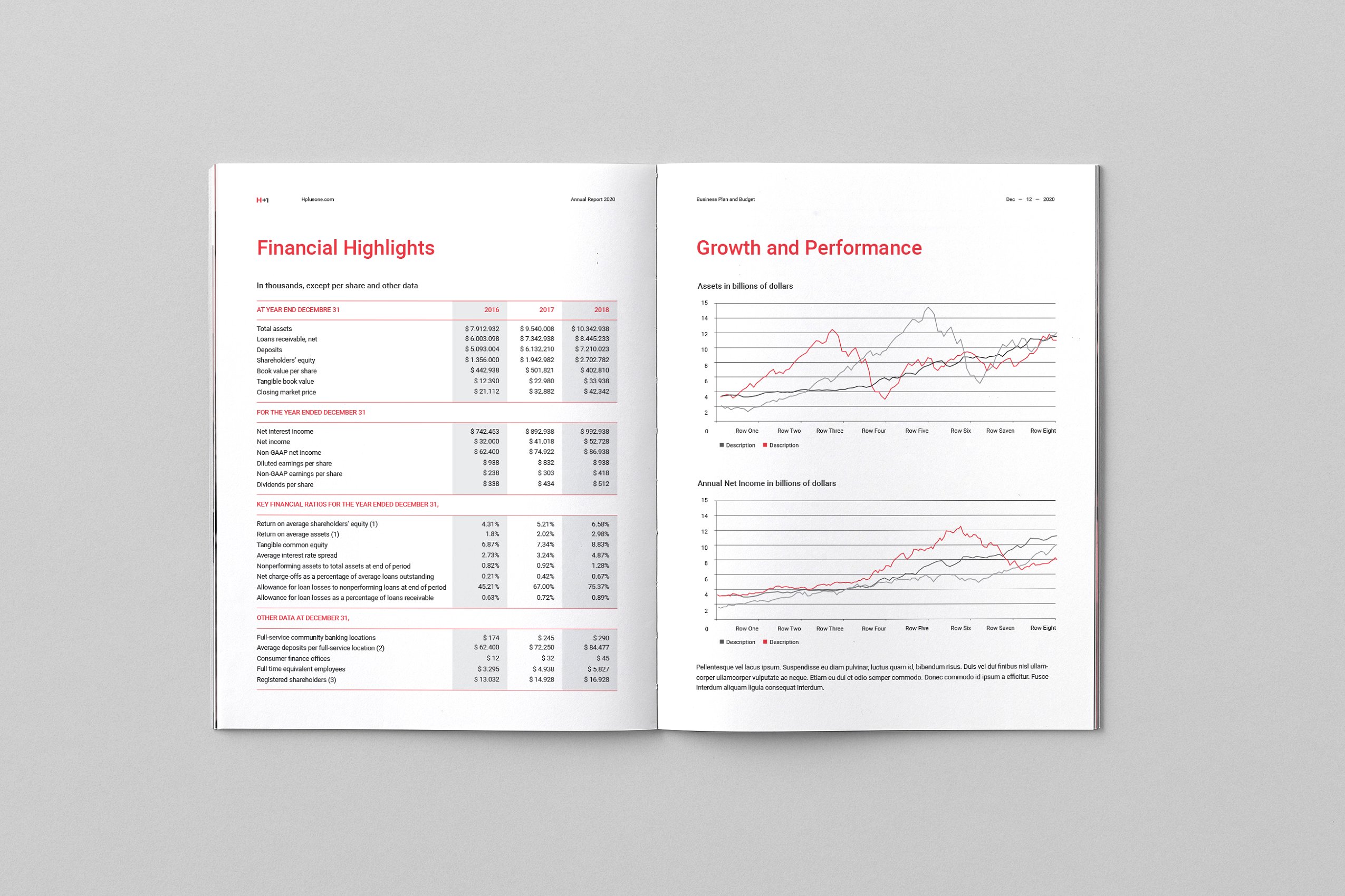 36页专业极简的年度总结杂志模板下载 Annual Reports [indd]插图(8)