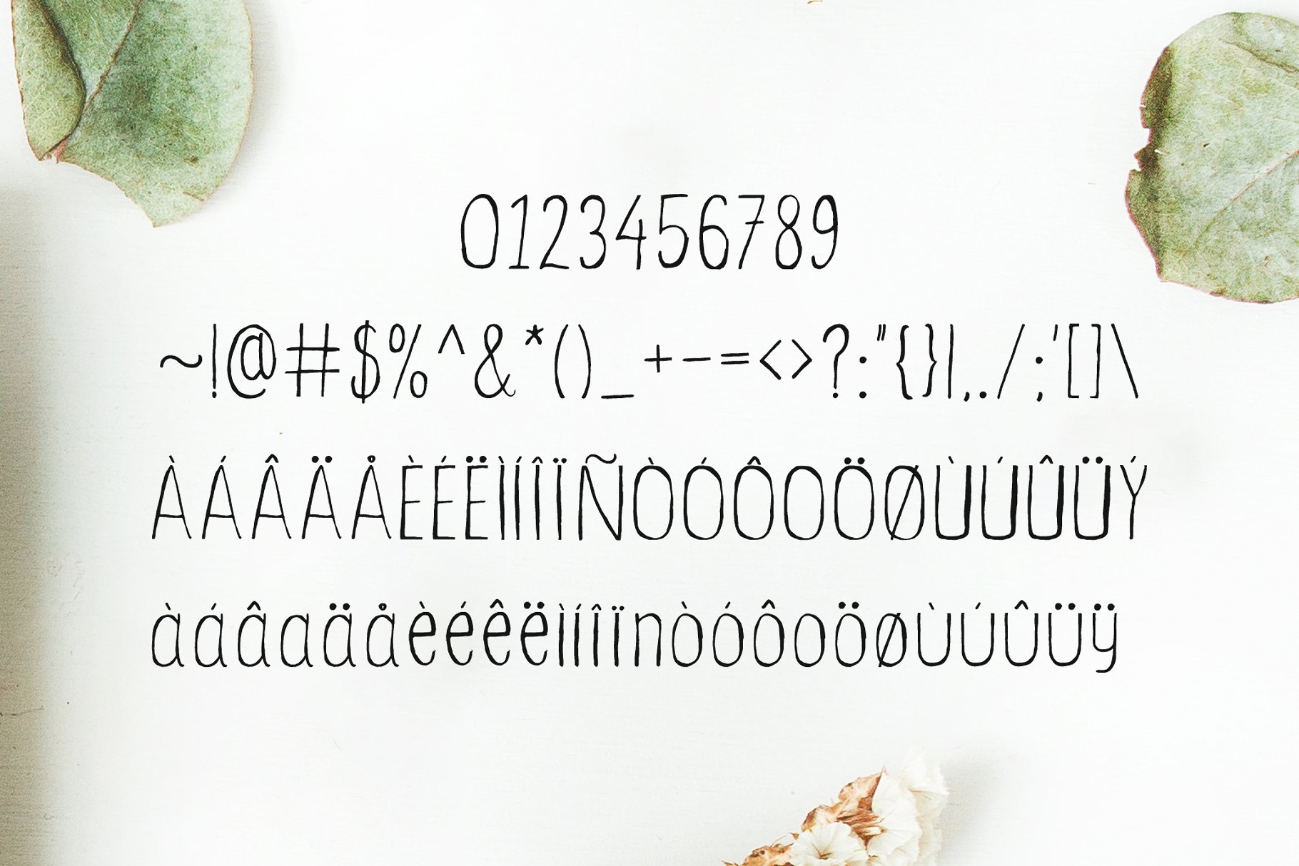 优雅的手写英文字体及手绘花叶花圈素材 Ceica Handwritten Duo Font插图(4)
