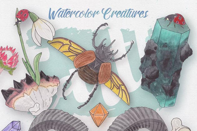 生物系列水彩手绘插画合集Vol.1 Watercolor Creatures vol. 1插图3