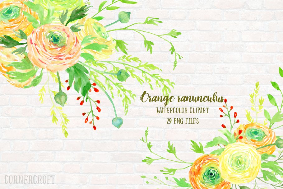 橙色水彩毛茛花卉剪贴画素材集 Watercolor Clipart Orange Ranunculus插图