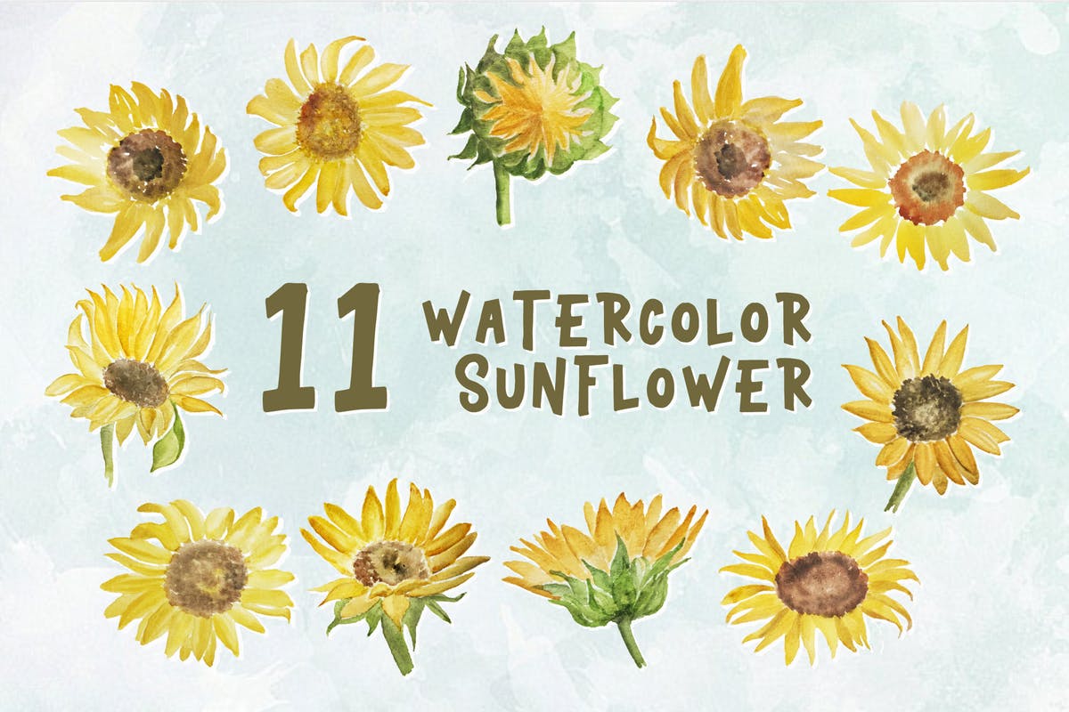 黄色向日葵水彩装饰元素插画 11 Watercolor Sunflower Illustration Graphics插图