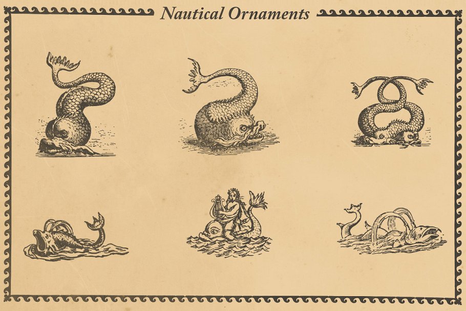 航海装饰元素插画素材 Nautical Ornaments Set插图(1)