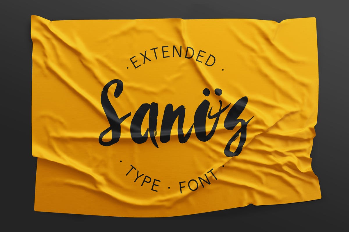 时尚/美容/食品/服装和杂志设计绝配手写英文字体 Sanös Extended Script Font插图