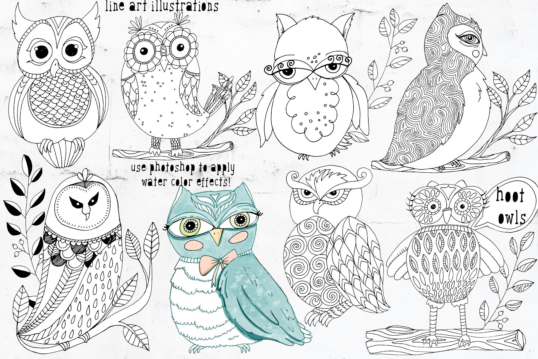 可爱猫头鹰矢量剪切画素材 Cute Owl Graphics Set插图(6)