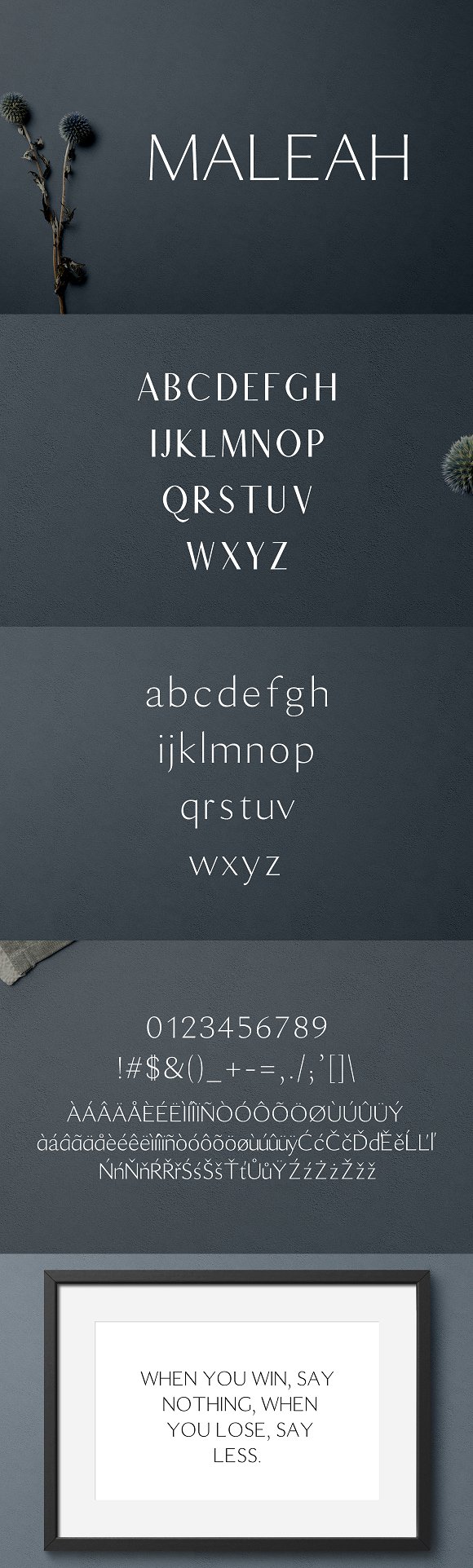 一款优雅的现代无衬线字体 Maleah Sans Serif 2 Font Family Pack插图