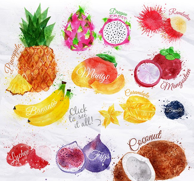 各种水果水彩剪贴画 Fruit Watercolor插图1